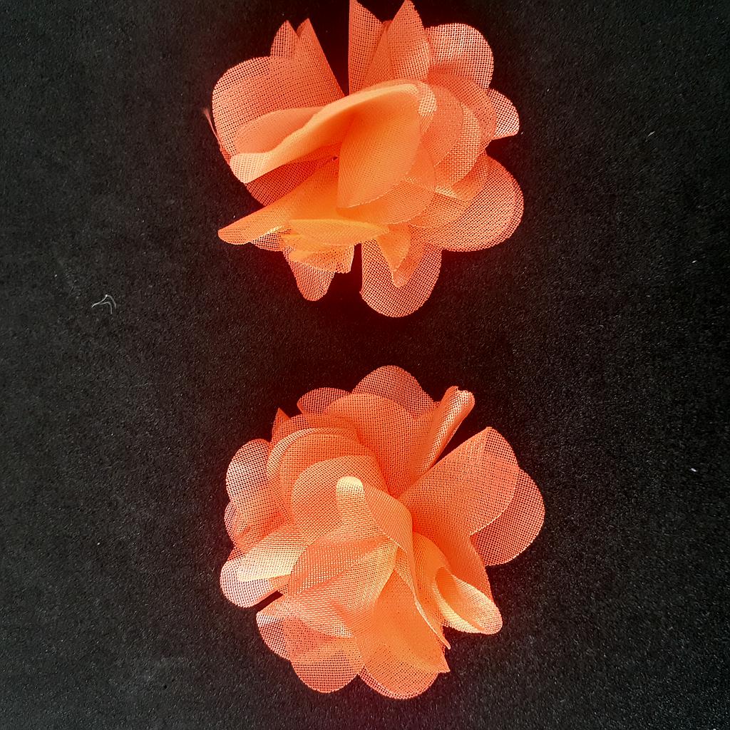 FLORES 