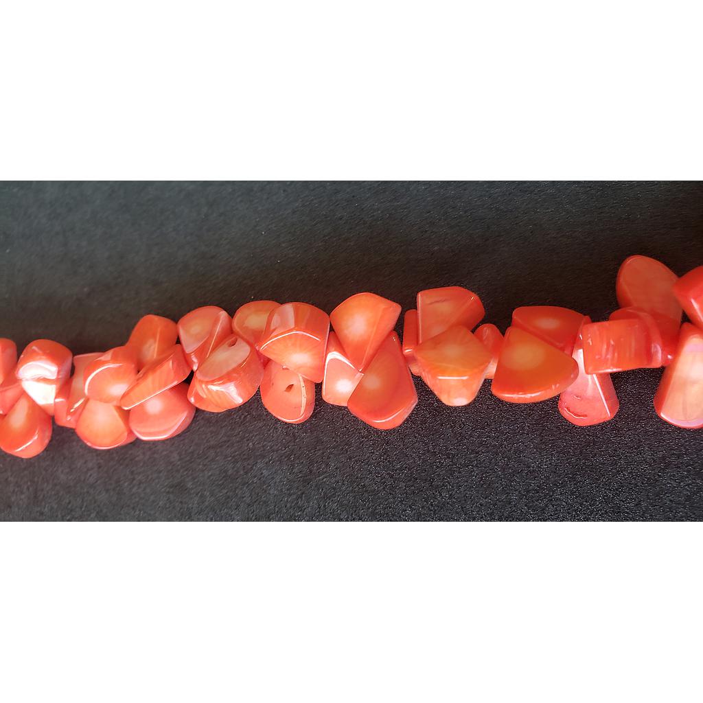 PIEDRAS CORAL 