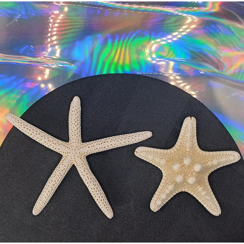 ESTRELLAS DE MAR