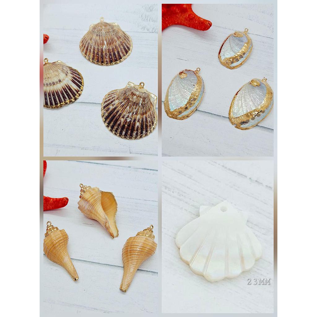 DIJES DE CONCHAS Y CARACOLES DE MAR DE CONCHA NACAR