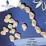 PERLAS ACRILICAS BARROCA 16X22MM RISTRA 16PCS