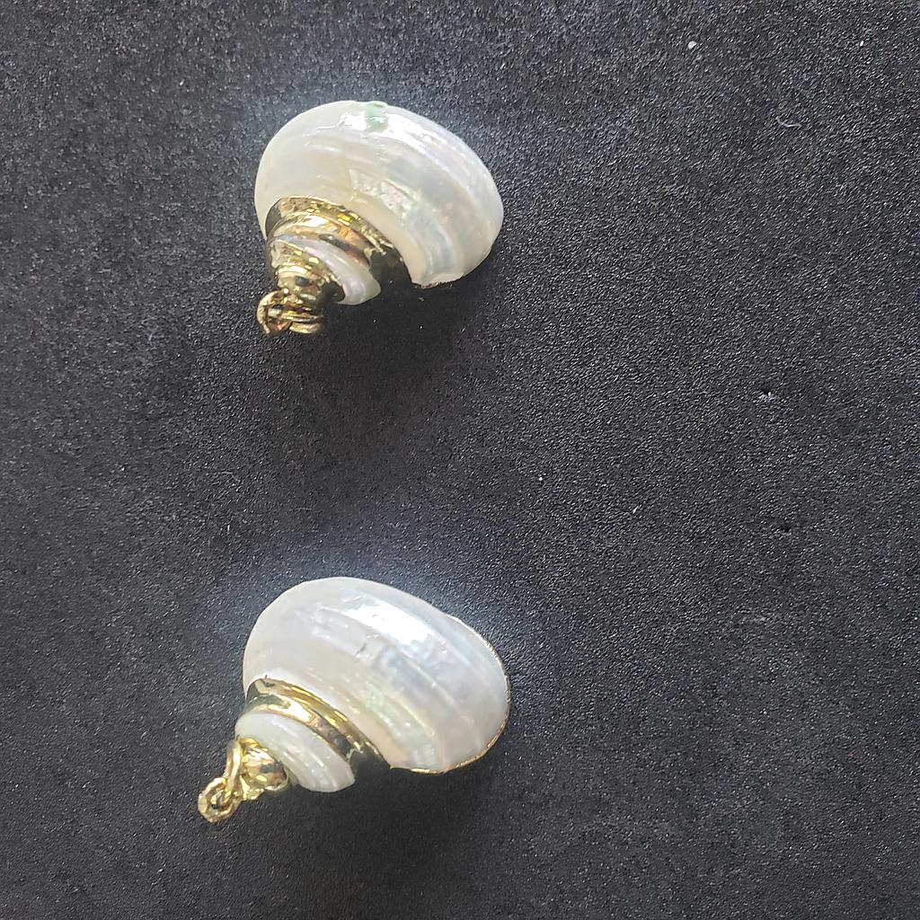 CONCHA DE CARACOL