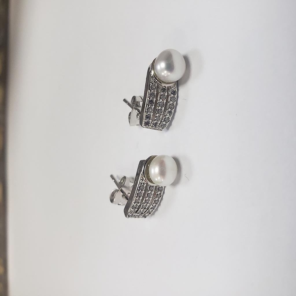 ARETES MICROCIRCON