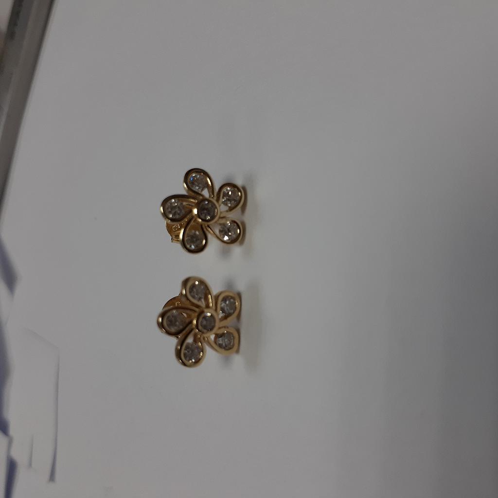 ARETES PLATA