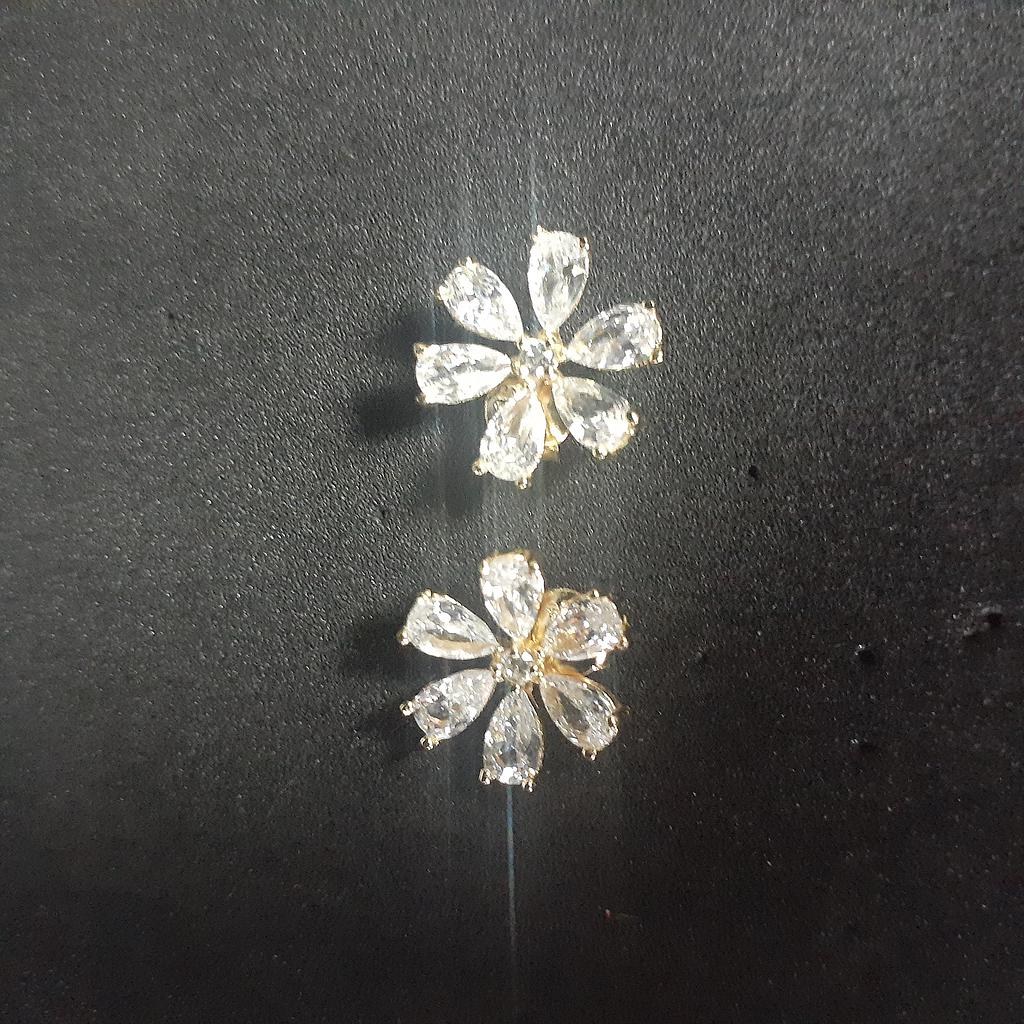 ARETES PLATA