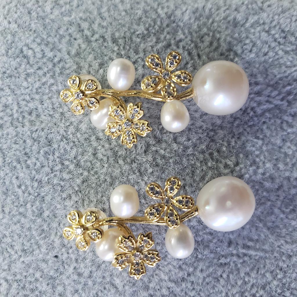 ARETES PLATA