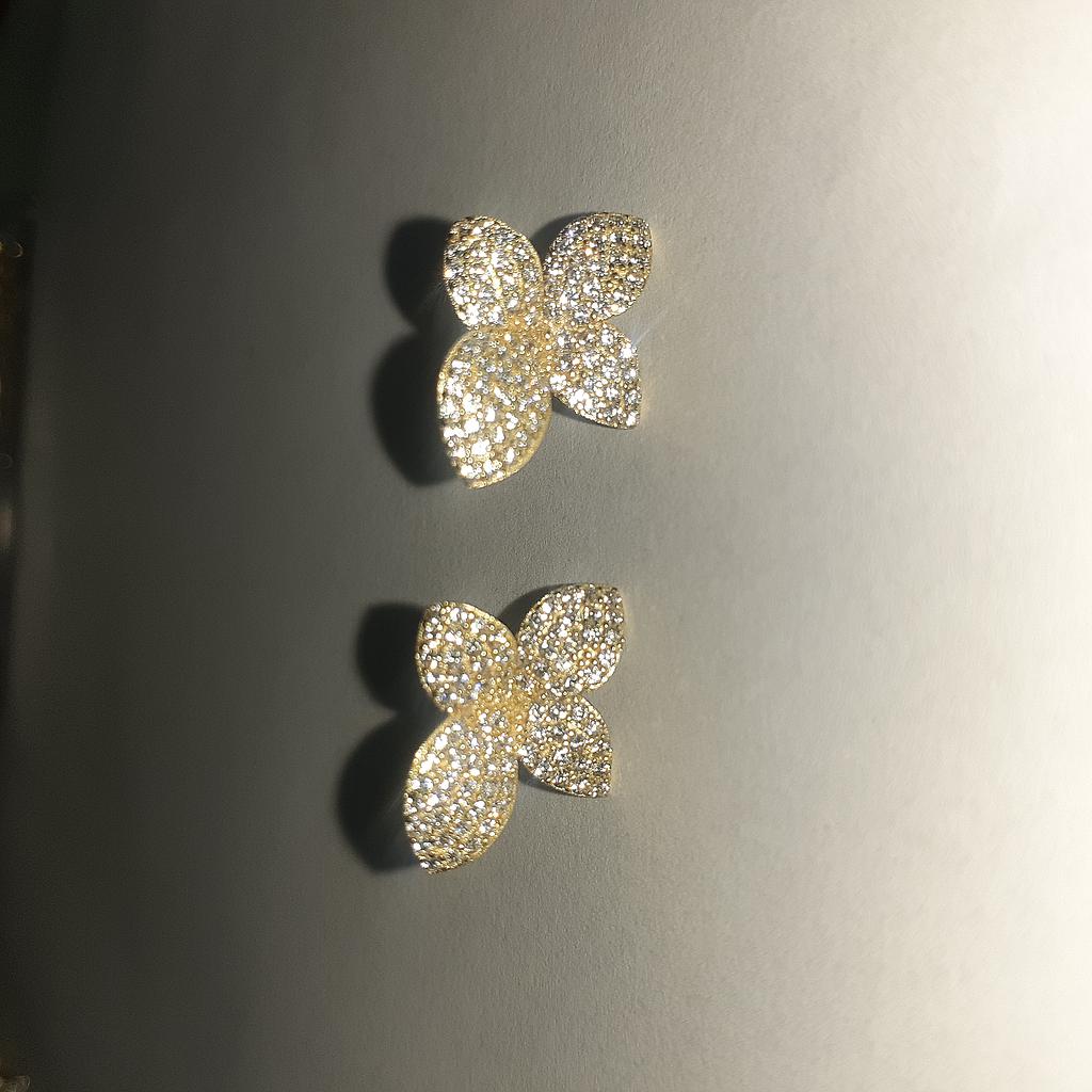 ARETES PLATA