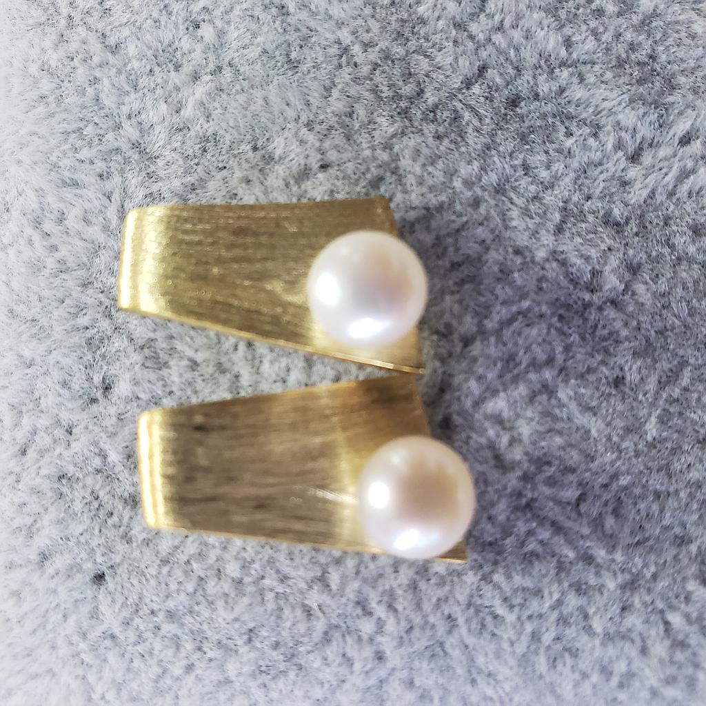 ARETES PLATA