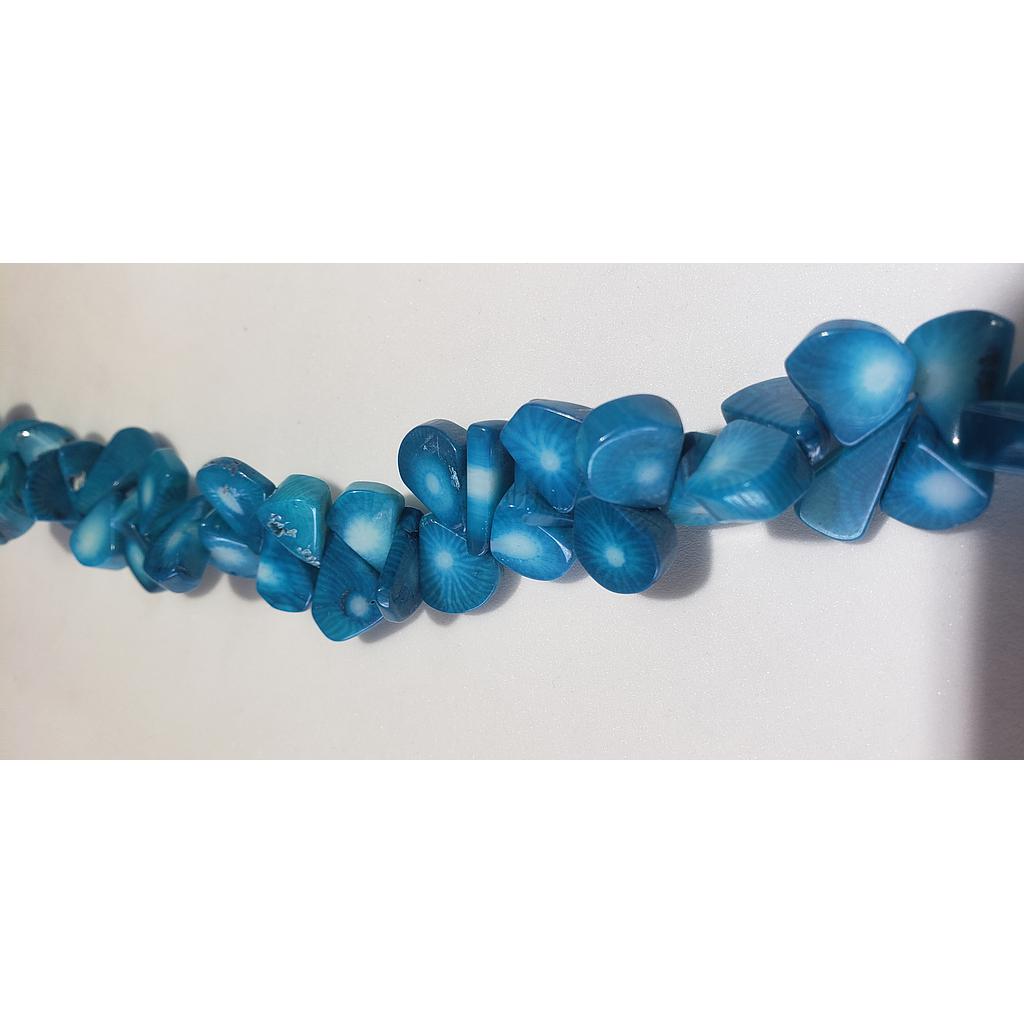 PIEDRAS CORAL 
