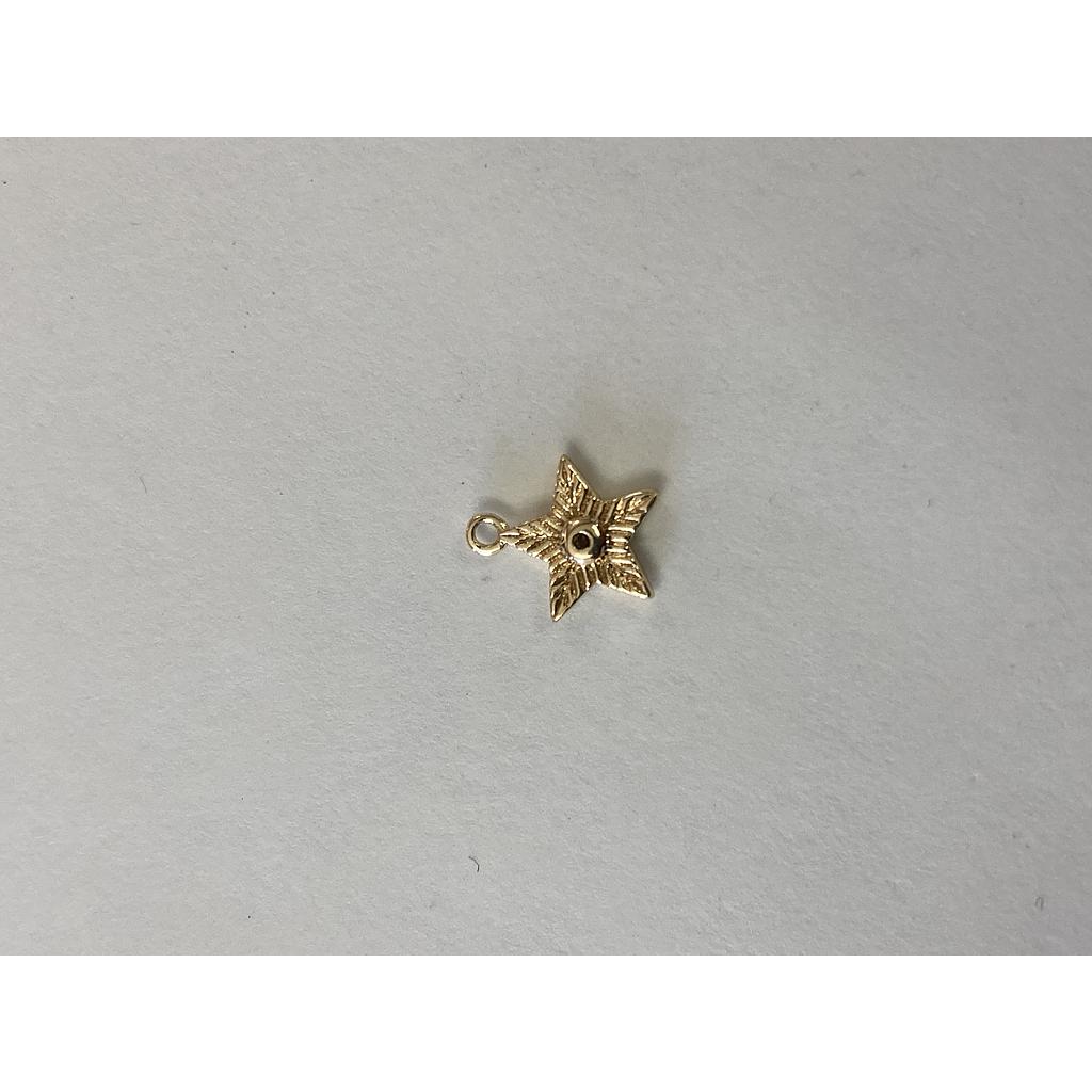 DIJE ESTRELLA