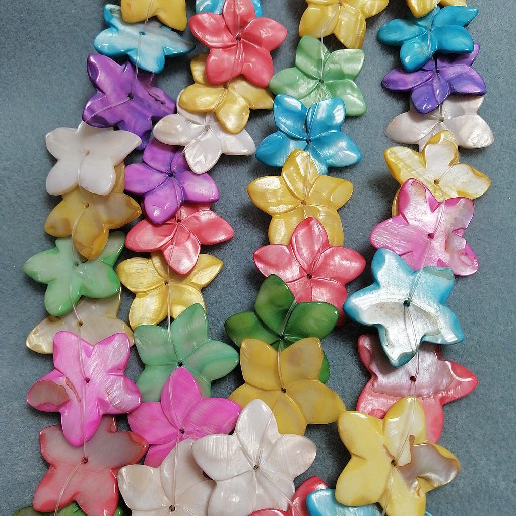 CONCHA NACAR FLOR