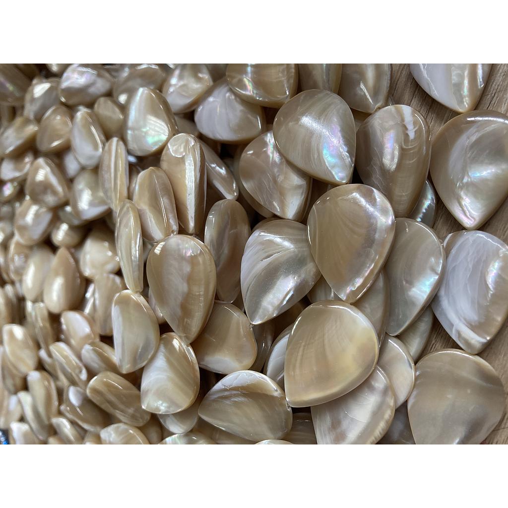 CONCHA NACAR GOTA