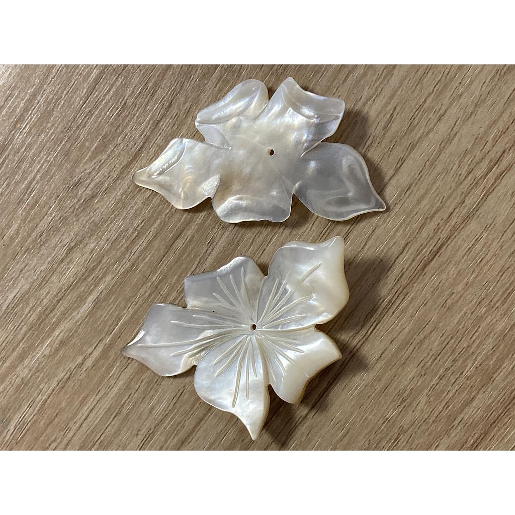 FLOR DE CONCHA NACAR 30x48mm