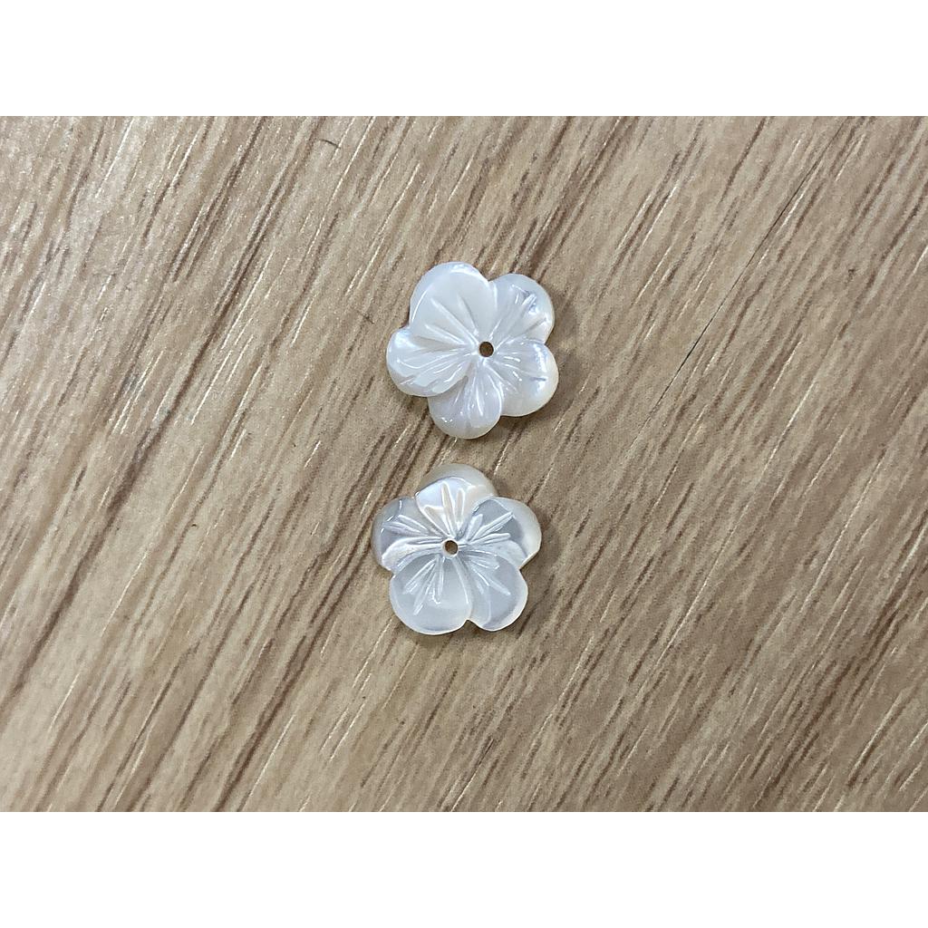 FLOR CONCHA NACAR 10mm