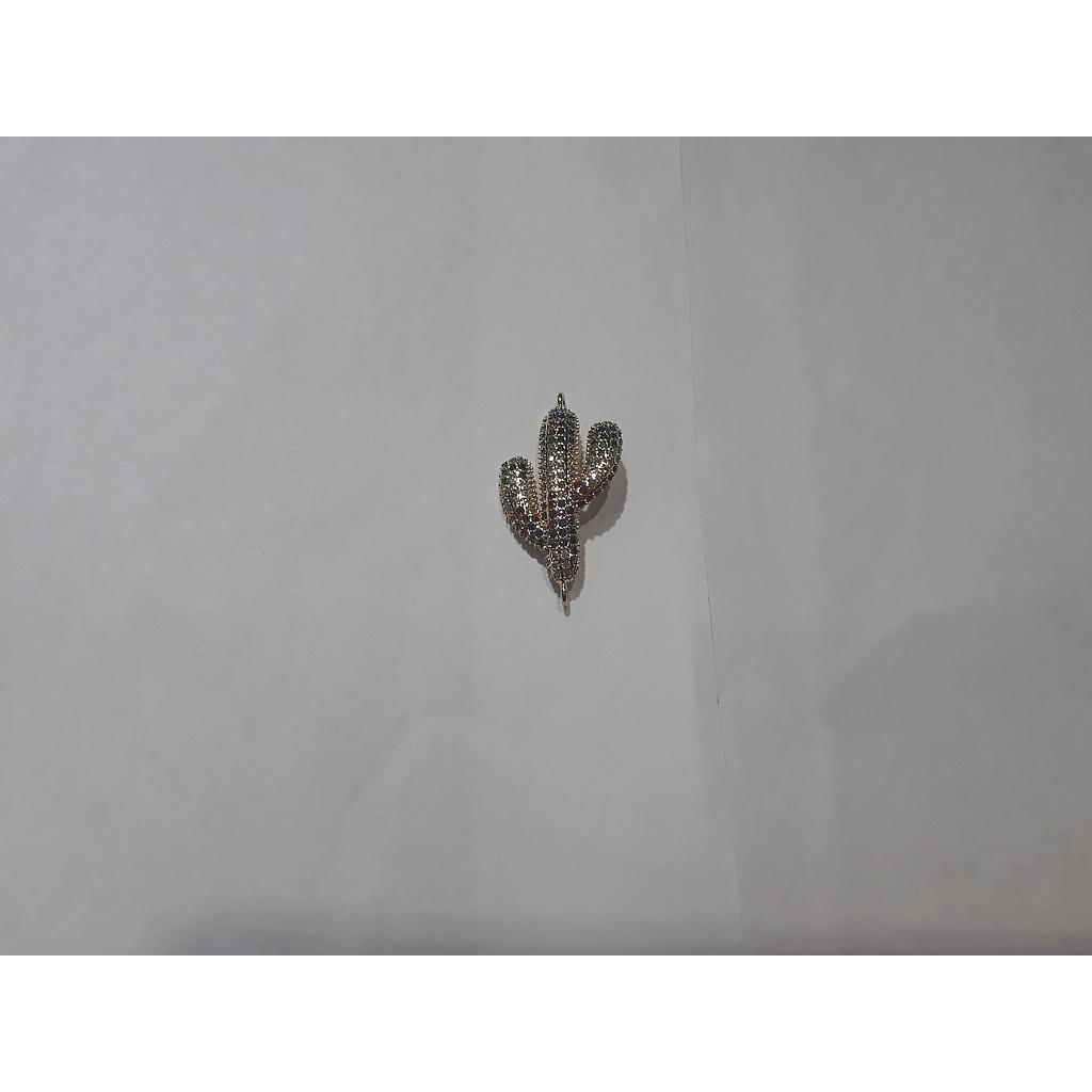 CACTUS MICROCIRCON 2 ARGOLLAS