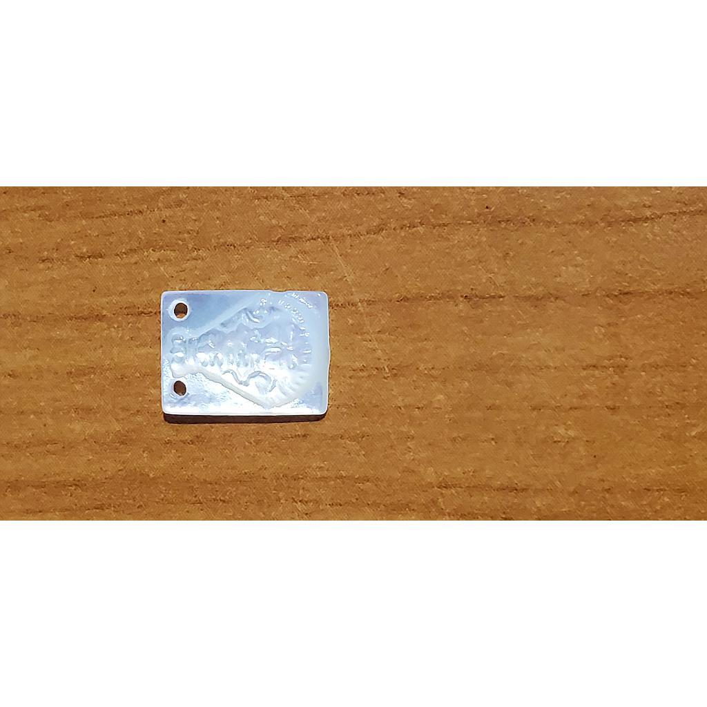 ESCAPULARIO VIRGEN DE SUYAPA 8X11MM