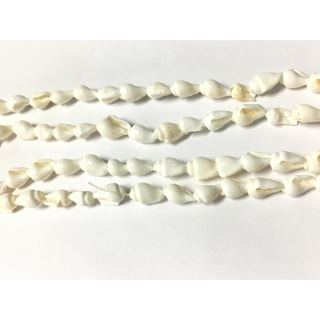 CONCHA NACAR CARACOLES RISTRA 190PCS APROX.