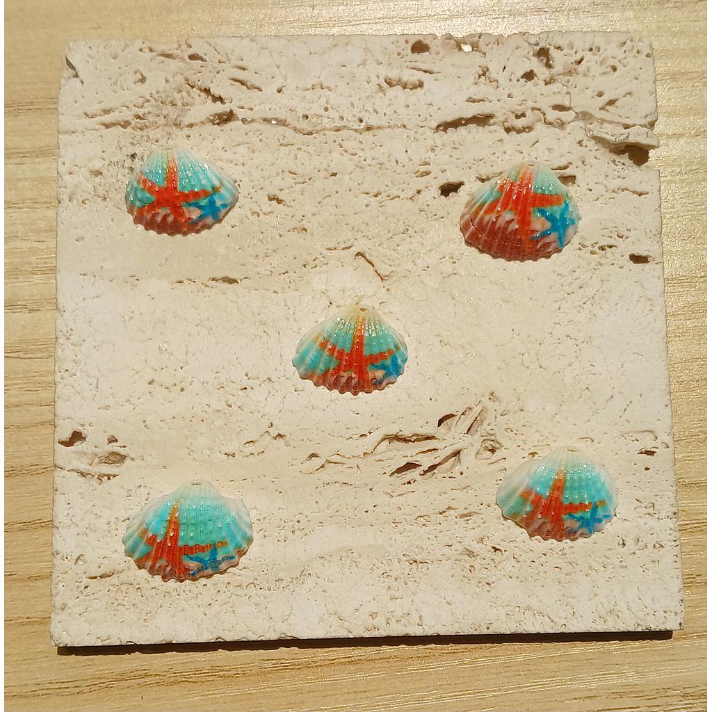 CONCHAS DE MAR