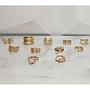 ANILLOS AJUSTABLES DE MICROCIRCONIA